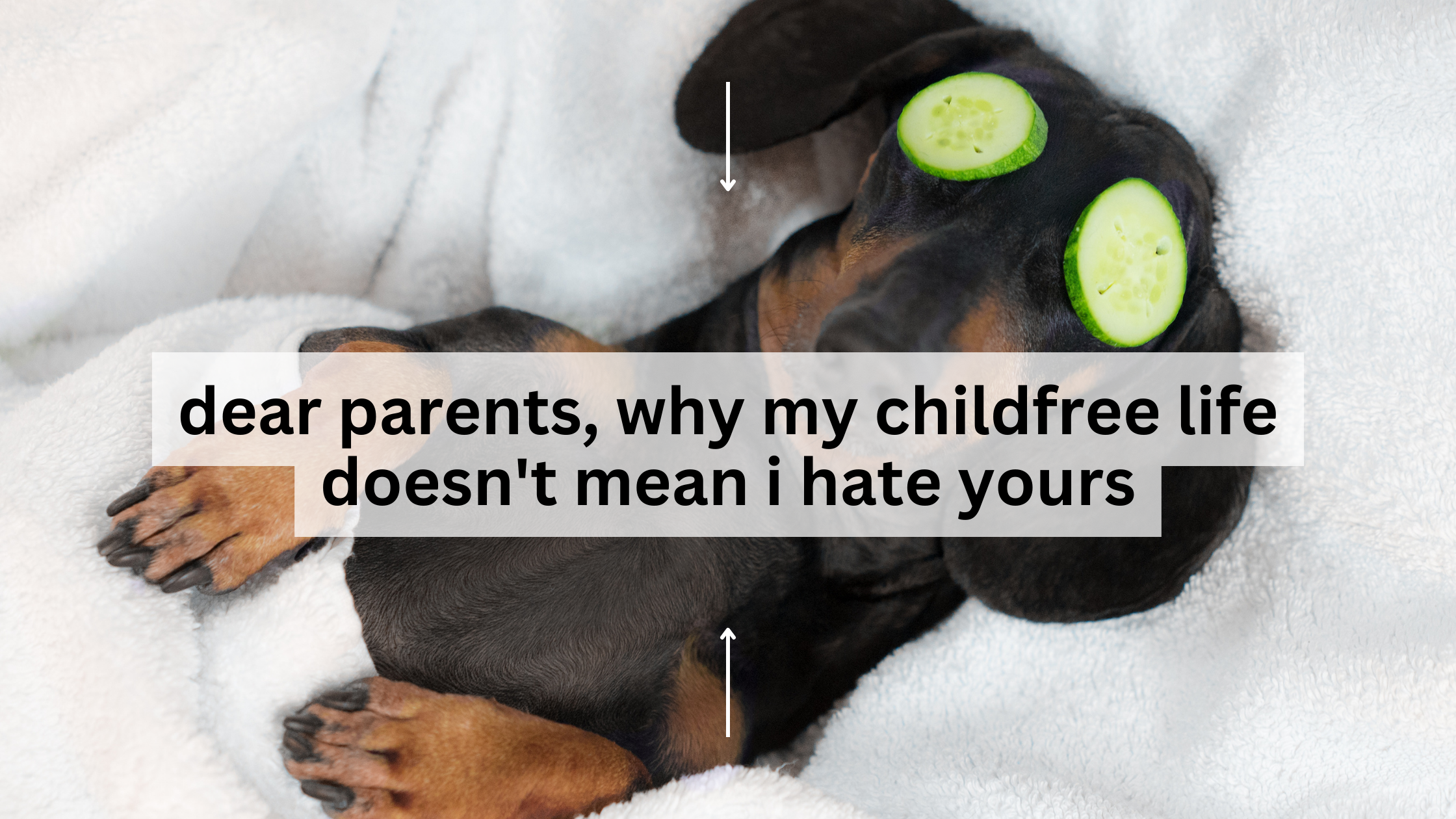 dear parents, why my childfree life doesn’t mean i hate yours